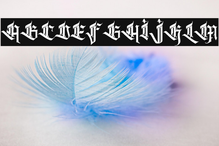 Kalecius personal use Example 1