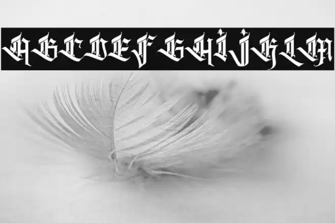 Kalecius personal use フォント examples