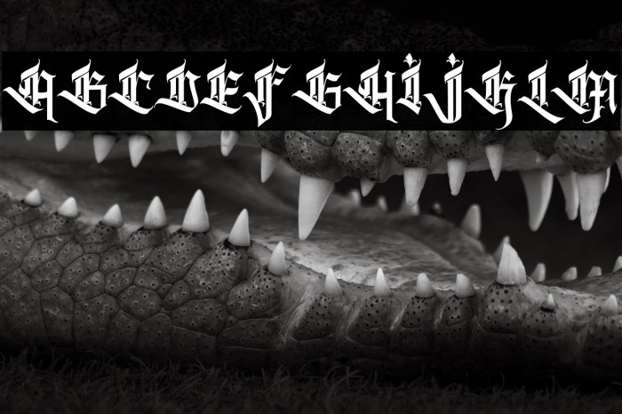 Kalecius personal use Example 3