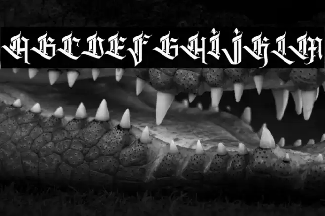 Kalecius personal use フォント examples