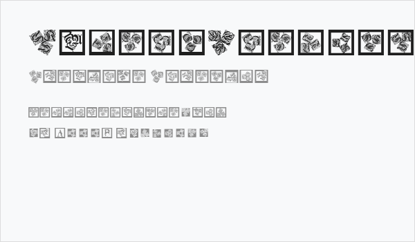 KaleidWieynckFrax Business Card