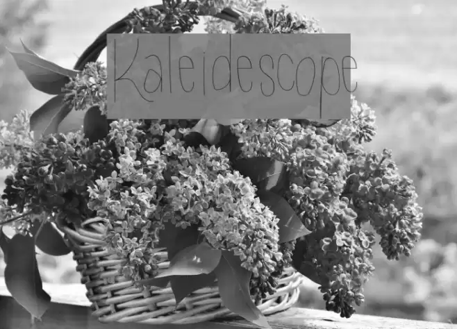 Kaleidescope Fuentes examples