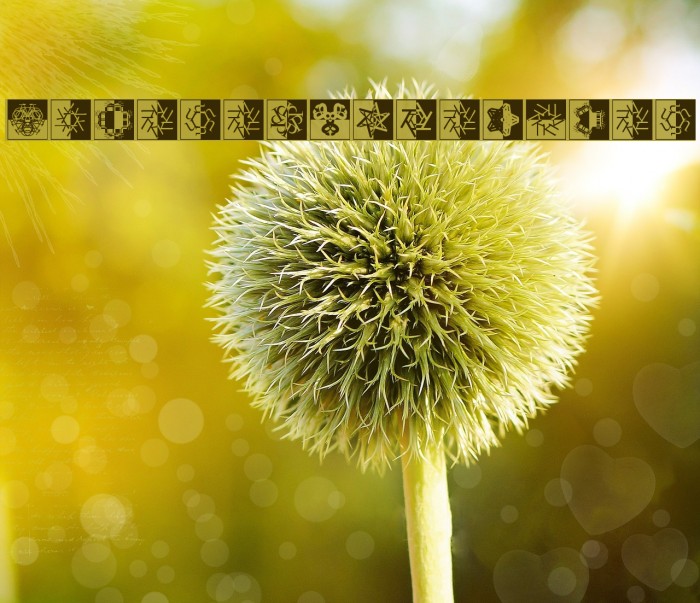 KaleidoTypesDrei Example 1