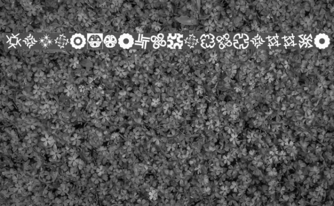 KaleidoTypesQuattro Font examples