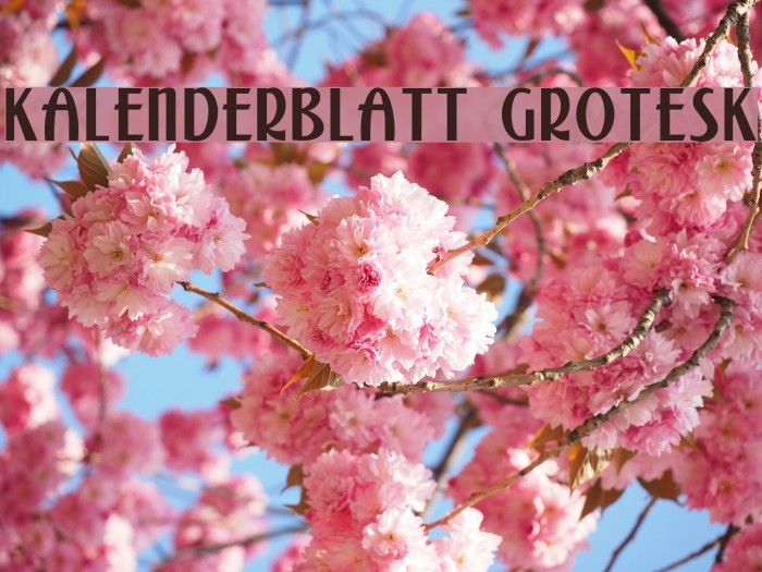 Kalenderblatt Grotesk Font examples