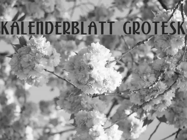 Kalenderblatt Grotesk Schriftart examples