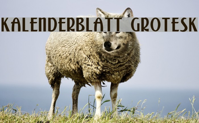 Kalenderblatt Grotesk Font examples