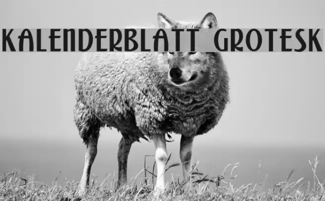 Kalenderblatt Grotesk Schriftart examples
