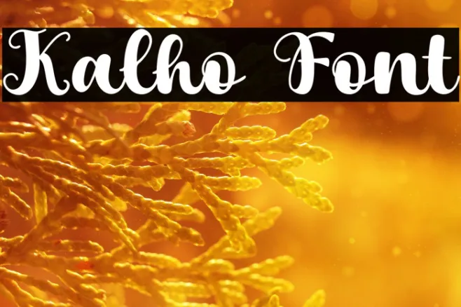 Kalho Example 2