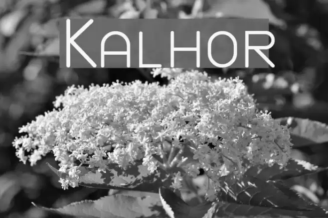 Kalhor  examples