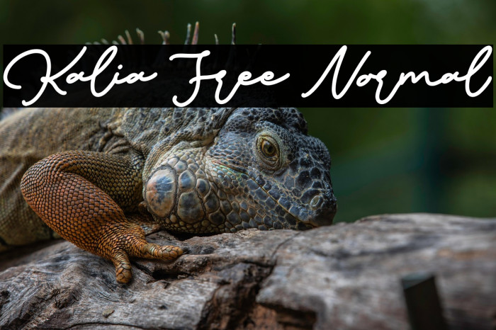 Kalia Free Normal Example 2
