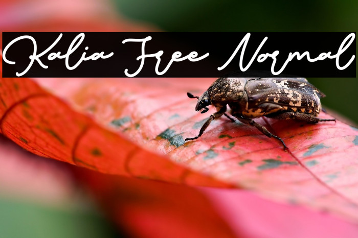 Kalia Free Normal Example 3