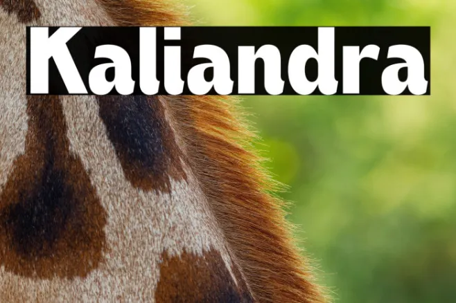 Kaliandra Example 1