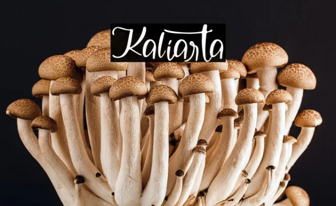Kaliarta Example 3