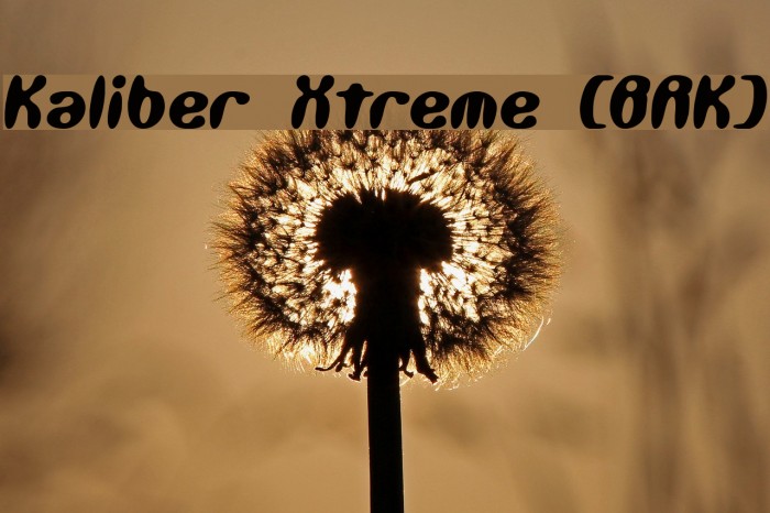 Kaliber Xtreme [BRK] Example 1