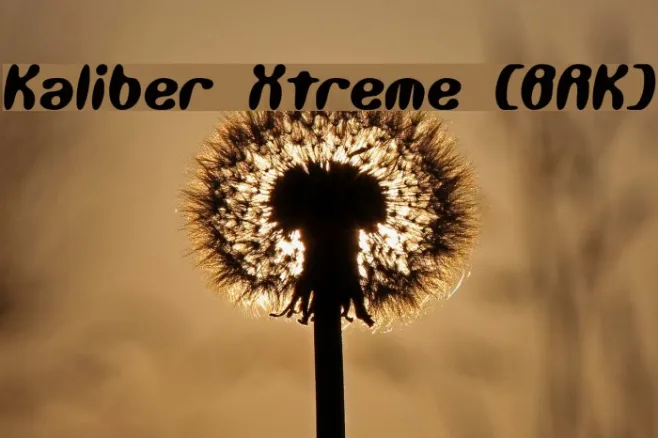 Kaliber Xtreme [BRK] Example 1