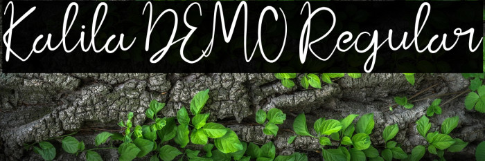 Kalila DEMO Regular Example 3