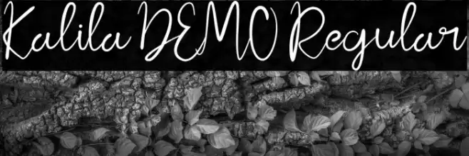 Kalila DEMO Regular Шрифта examples