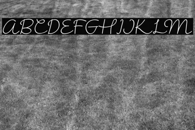 KalimeraRegular Font examples