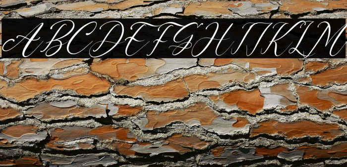 Kalindaty Alintaria Italic Example 2