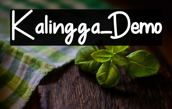 Kalingga_Demo Example 3