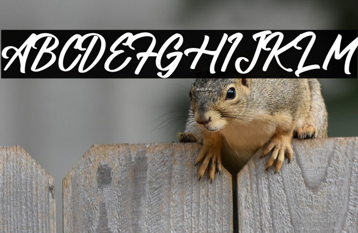 Kalingtone Brilliant Example 2