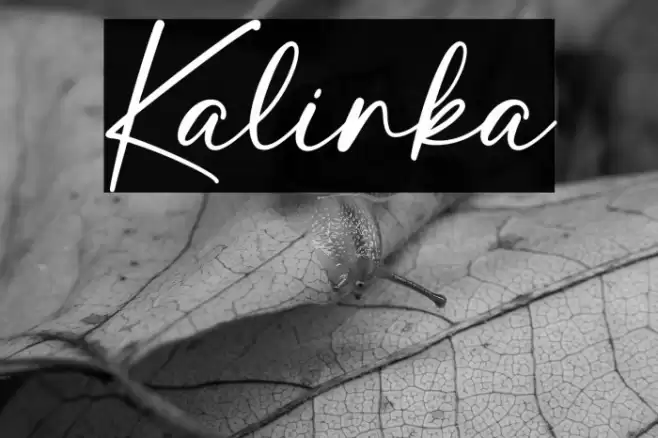 Kalinka Font examples