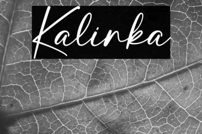 Kalinka Font examples