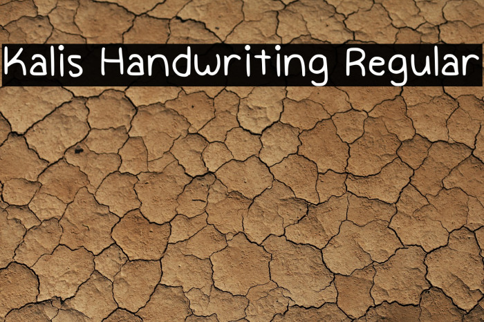 Kalis Handwriting Regular Example 1