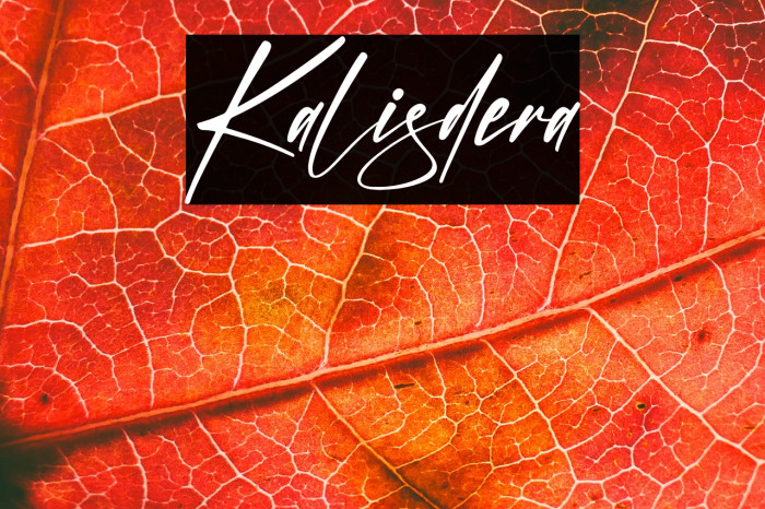 Kalisdera Example 2