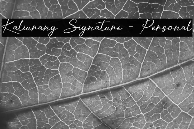Kaliurang Signature - Personal Font examples