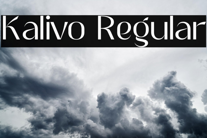 Kalivo Regular Example 1