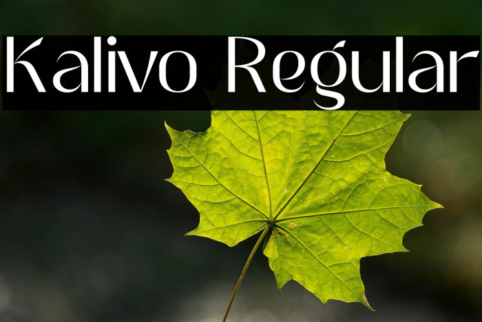 Kalivo Regular Example 2