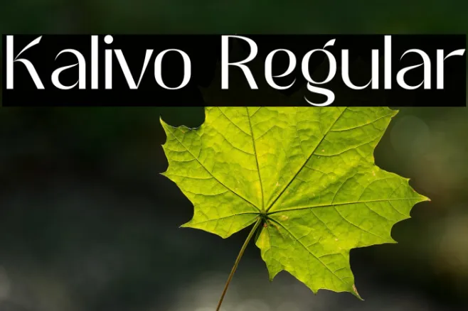 Kalivo Regular Example 2