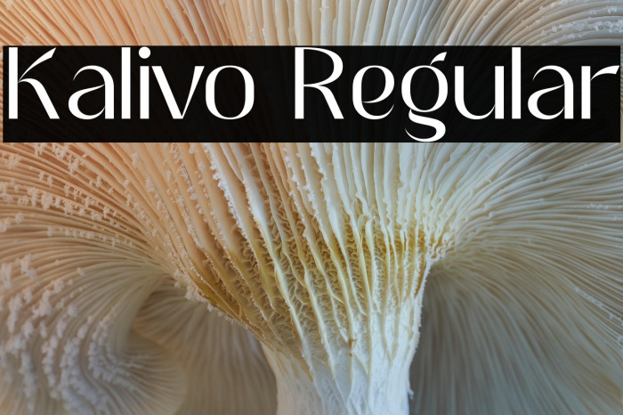 Kalivo Regular Example 3