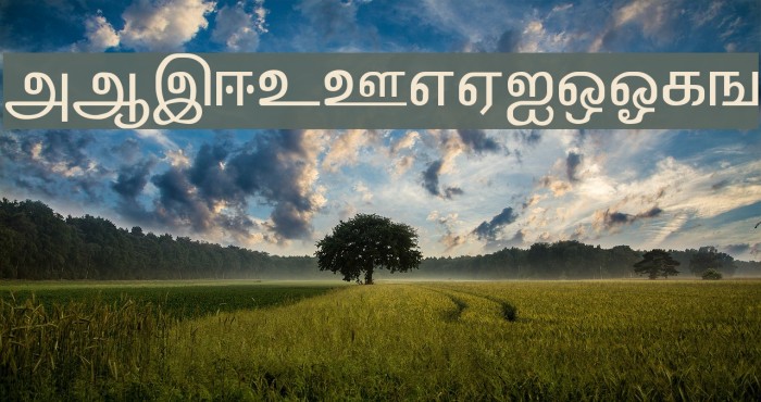 Kalki Normal Шрифта examples