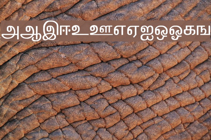 Kalki Normal Шрифта examples
