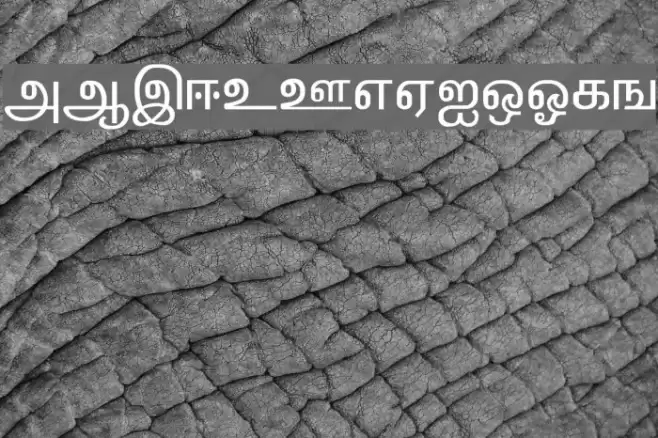 Kalki Normal Font examples