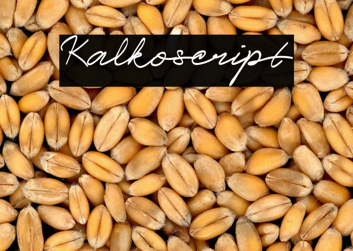 Kalko_script Example 1