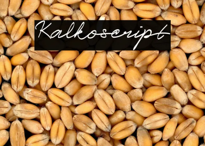 Kalko_script Example 1