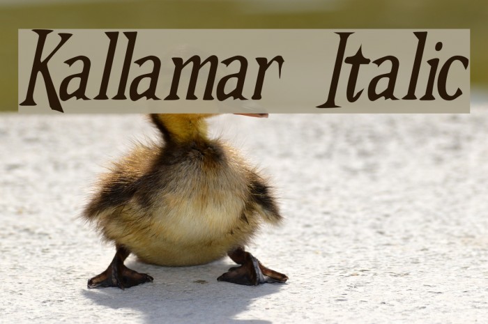Kallamar Italic Font examples