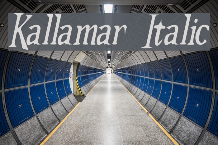 Kallamar Italic Font examples