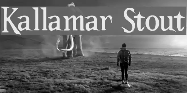 Kallamar Stout Font examples