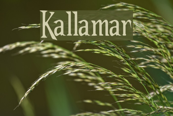 Kallamar Font examples