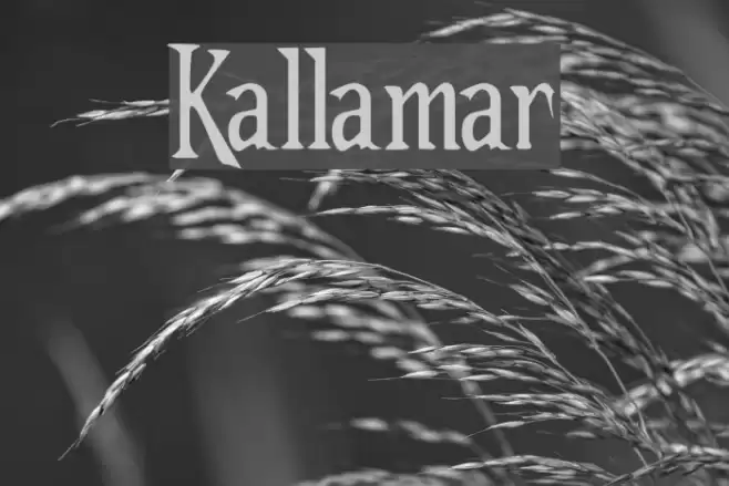 Kallamar Polices examples