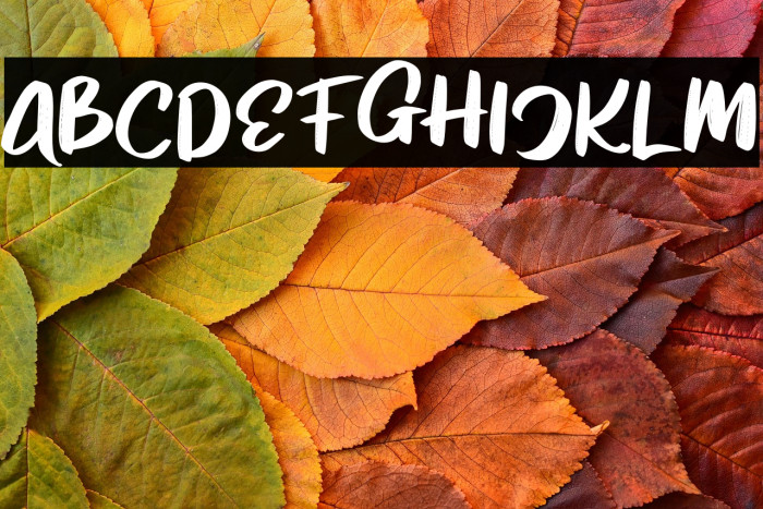 KalledFREE Example 3