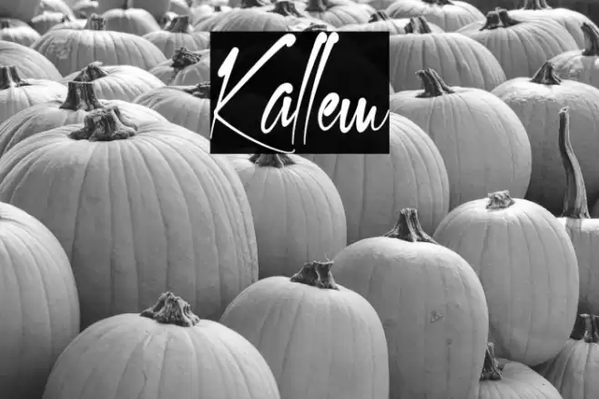 Kallem Font examples