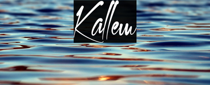 Kallem Example 3