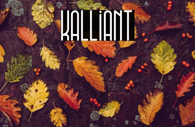 Kalliant Example 3