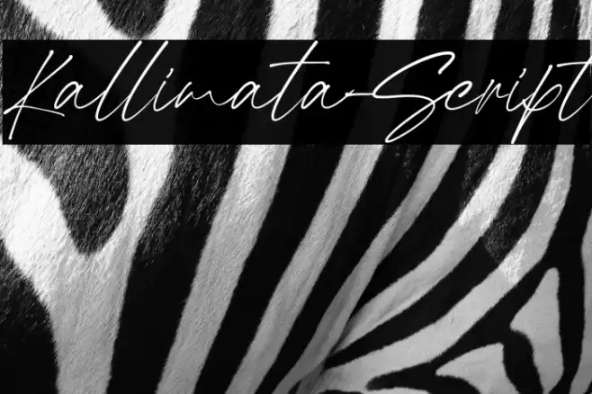 Kallimata-Script Font examples